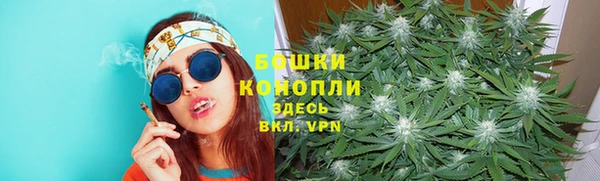 кокс Дмитровск