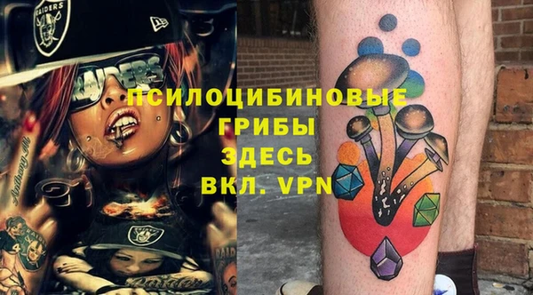 гидропоника Дмитриев