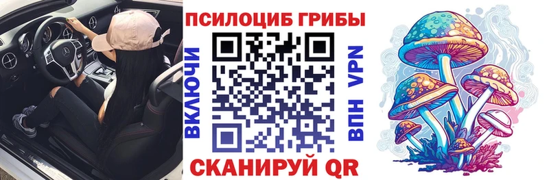 даркнет сайт Зеленокумск Галлюциногенные грибы Psilocybe