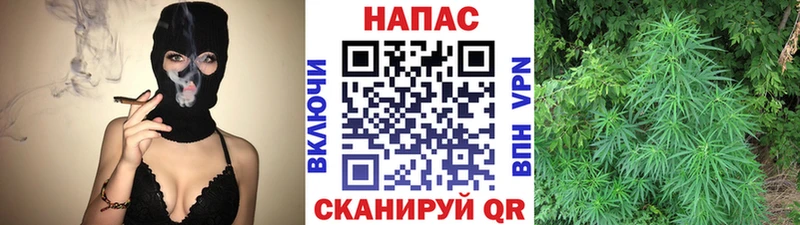 Шишки марихуана VHQ  Зеленокумск 